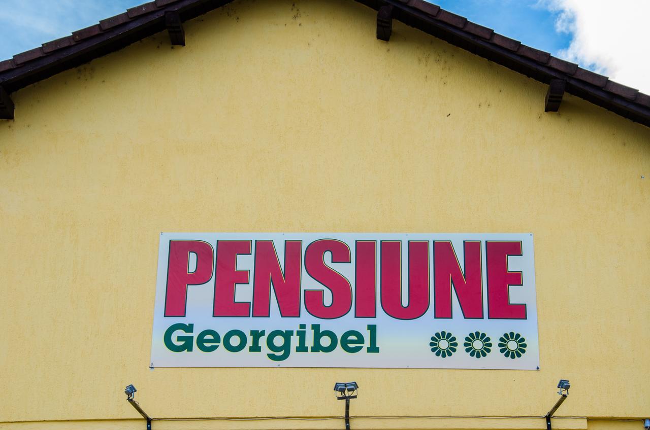 Pensiunea Georgibel Deva Zewnętrze zdjęcie